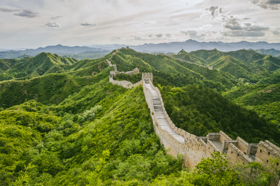 Executive leader exploring new market opportunities in Chinese industries